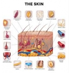 Find the Best Skin Specialist in Coimbatore for Healthy, Glowing Skin