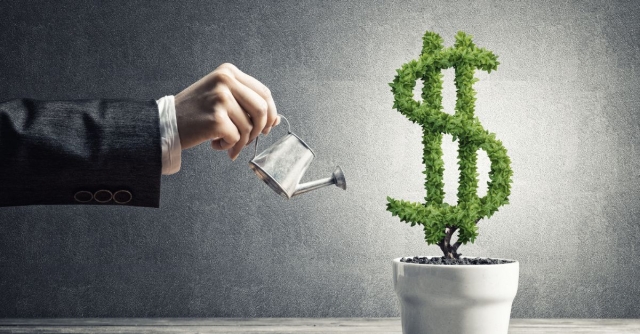 Understanding the Basics of Delaware Statutory Trusts