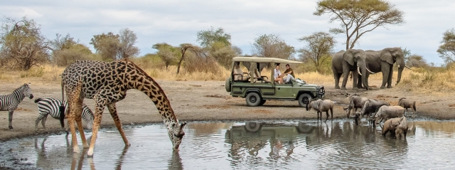 The Tanzania Safari Parks You Must Visit Now