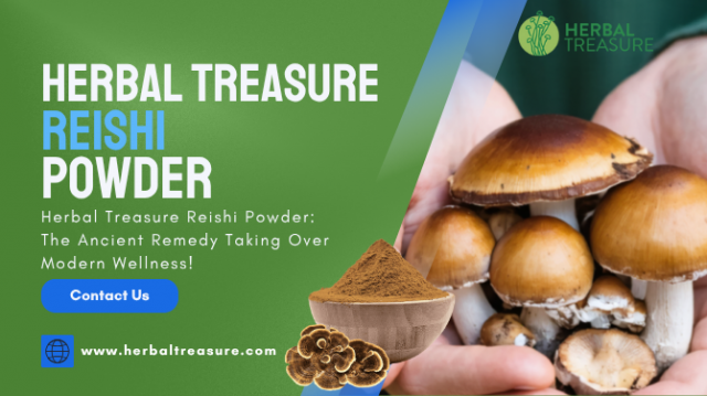 Herbal Treasure Reishi Powder: The Ancient Remedy Taking Over Modern Wellness!