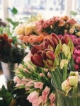Christchurch City Flower – Express Love to Your Daughter with Beautiful Blooms in Christchurch