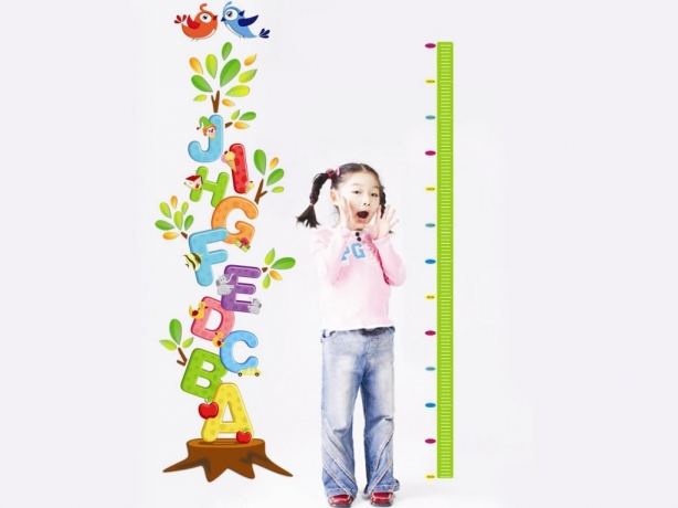 The Ultimate Guide to How to Increase Height Naturally