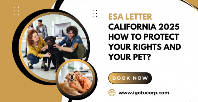 How to Easily Get a Legit Emotional Support Animal Letter California