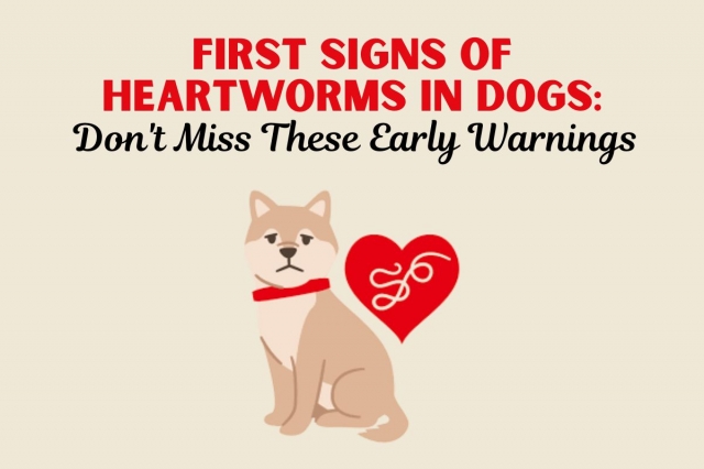 First Signs of Heartworms in Dogs: Don't Miss These Early Warnings