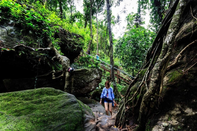 Kakadu's Wetlands and Waterfalls: Tours for Nature Lovers