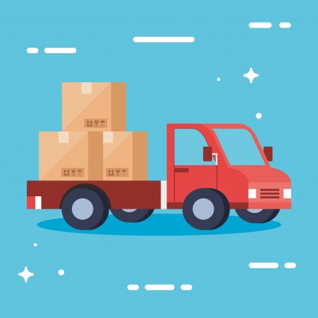 Clear the Clutter: Why Junk Removal Miami Services Are a Must-Have