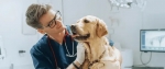 Veterinary Oncology Market Accelerates Amid Rising Pet Cancer Incidence
