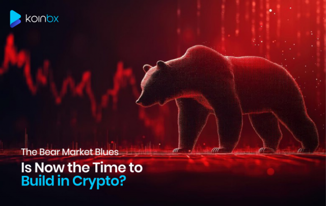 The Bear Market Blues: Is Now the Time to Build in Crypto?
