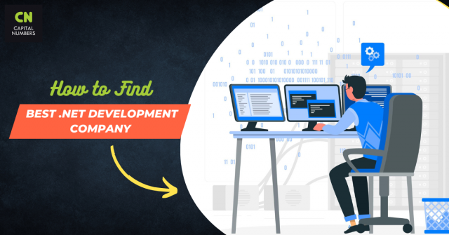 Best .NET Development Company for Your Project