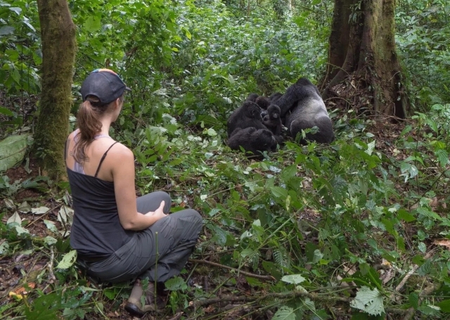Gorilla permit and why you need it on Rwanda gorilla safari