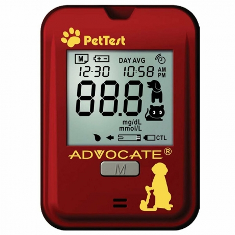 Buy Pet Diabetes Supplies Online: What Every Pet Owner Should Know