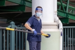 The Hidden Risks of Delaying Pest Control in Central Coast Homes