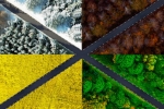 Why Cold Mix Asphalt Is the Go-To Fix for Driveway and Footpath Repairs