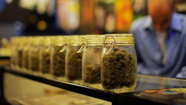 Your Guide to Finding the Best Cannabis Shop in Reading