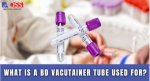 What Is a BD Vacutainer Tube Used For?