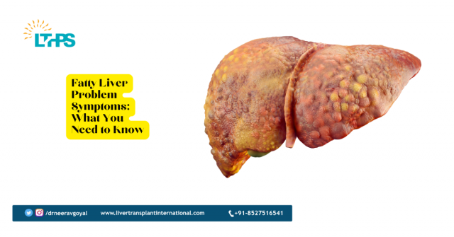 Fatty Liver Problem Symptoms: What You Need to Know