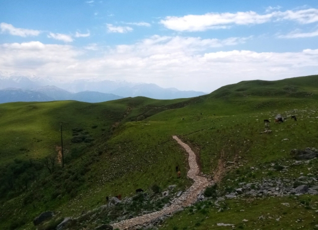 Raithal Village Travel Guide: Nature, Culture, and Trekking Bliss