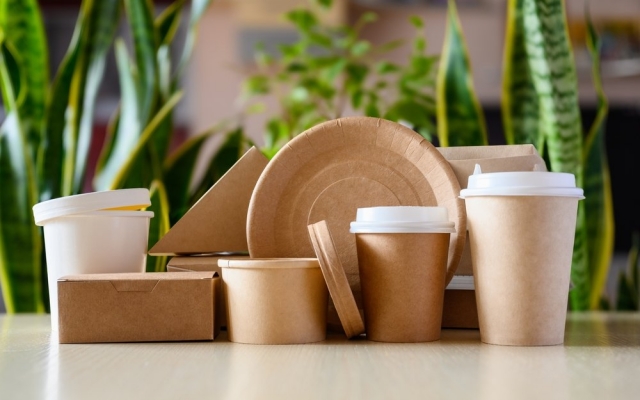 Sustainable Materials Market Growth and Opportunities 2025