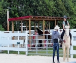 Horse Boarding Davie