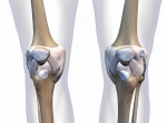 Discover Expert Knee Pain Treatment In Jericho Today!
