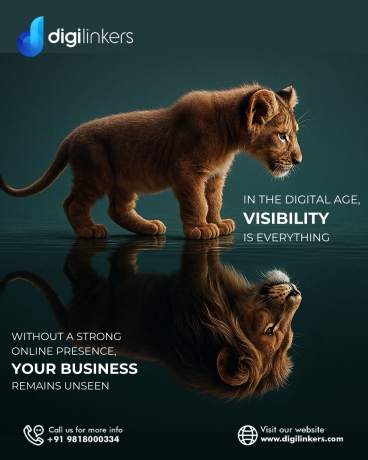 Digital Marketing Company in Delhi: Digilinkers Paves the Way for Online Success