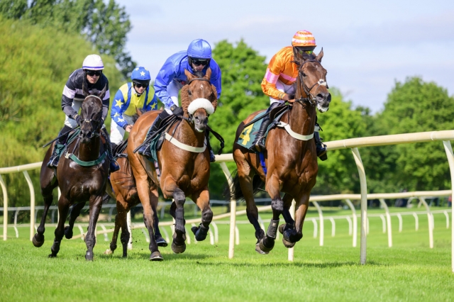 Horse Racing Explained: From Ancient Origins to Modern Innovation