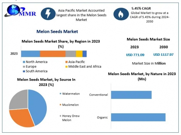 Who Are the Key Players in the Global Melon Seeds Market and What Are Their Strategies?