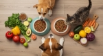 Why Pet Nutrition Deserves the Same Attention as Human Nutrition