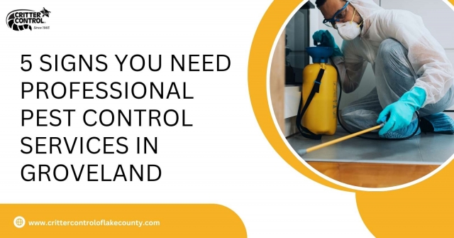 5 Signs You Need Professional Pest Control Services in Groveland