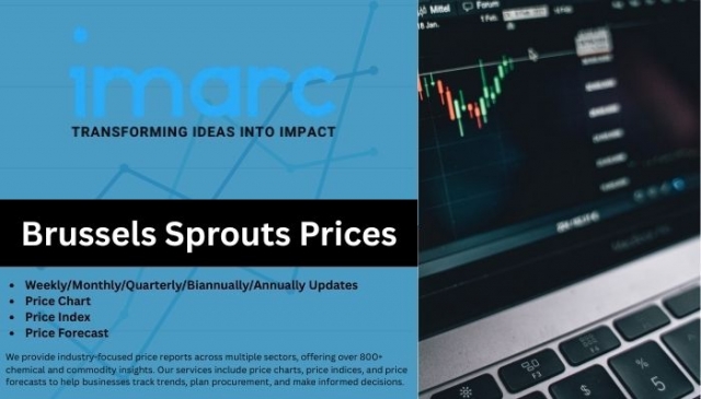 Brussels Sprouts Prices: Trend, Index, Forecast & Market Chart