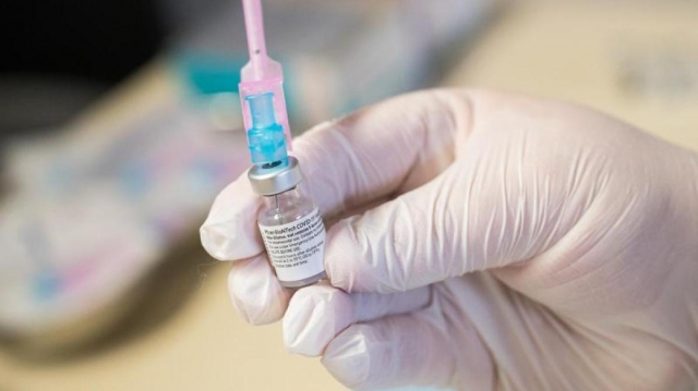 Non Viral Transfection Reagents Market Size, Trends, and Growth Analysis 2025-2032