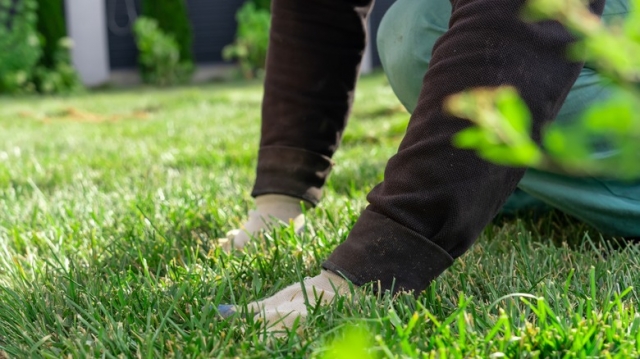 Why Every Landscaper Needs a Coach to Grow Their Business in 2025