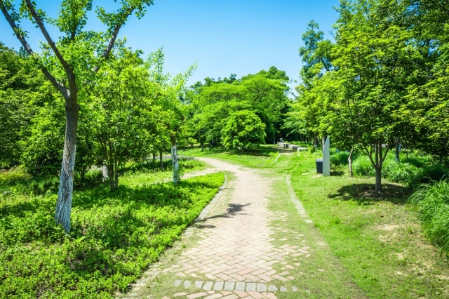 How Do Green Spaces Impact Mental Health?
