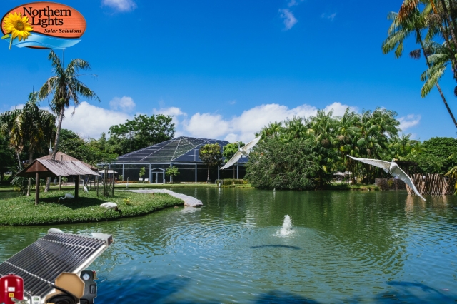Solar Pool Heating
