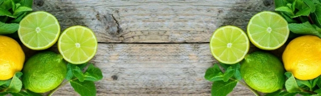 U.S. Lime Market Size, Trends, and Growth Forecast 2025-2032