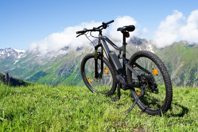 Austria E-Bike Market Size, Trends, and Growth Forecast 2025-2032
