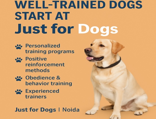 Well-trained dogs start at Just for Dogs.
