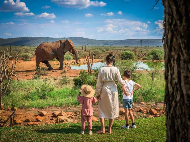Best Tanzania Parks for Africa Safari Tours Now