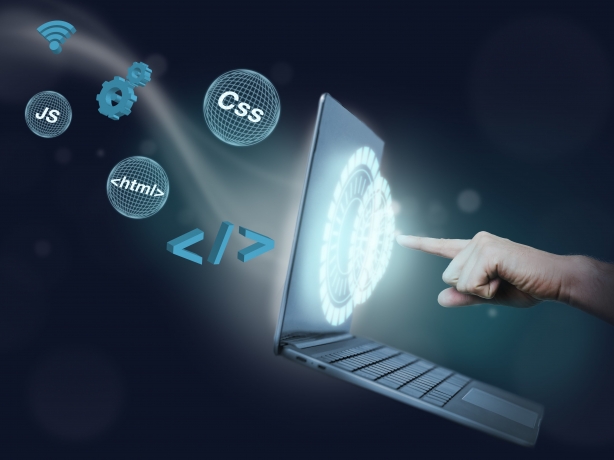 Custom Software is the Competitive Edge Your Business Needs