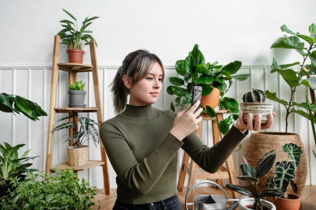 How to Keep Your Indoor Plants Alive and Thriving