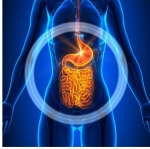 Is Riyadh Safe for Obesity Surgery? Navigating Your Weight Loss Journey