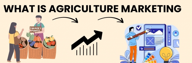 How to Start Agriculture Marketing in India