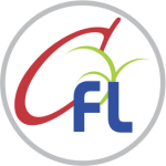 Debt Consolidation with Chintamani Finlease Personal Loans: A Financial Lifesaver in 2025?