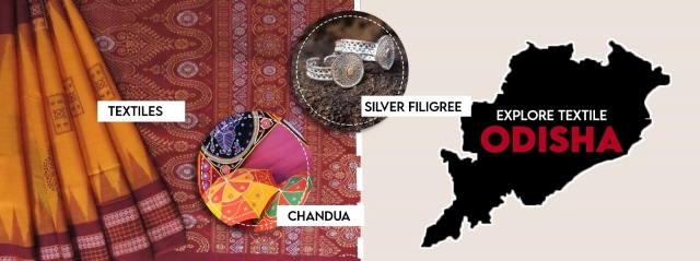Wildlife Theme Tour Packages – Safari Adventures in Odisha & Beyond
