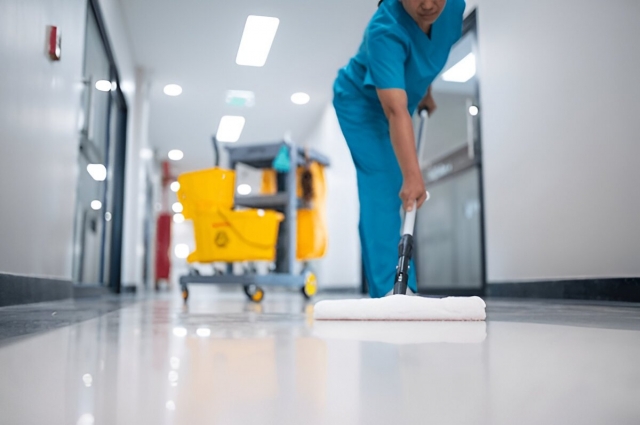 Choosing Effective Cleaners for a Spotless Home