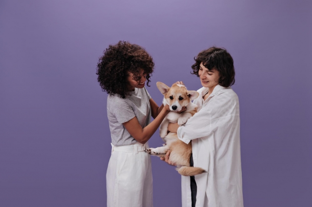 Finding Reliable Dog Groomers Near You: What to Know