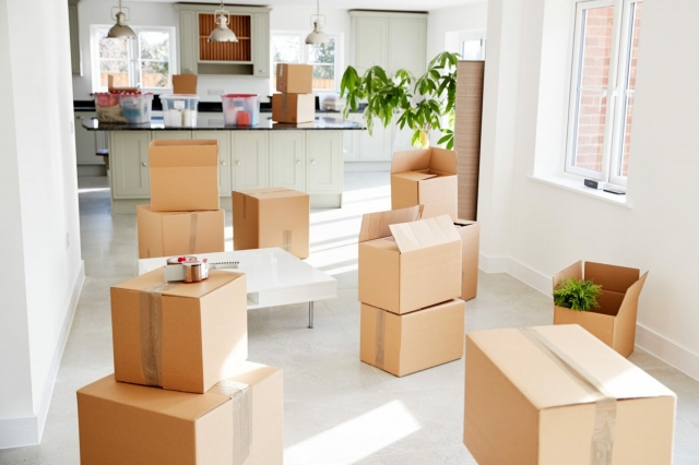 Life in Motion: How Packers and Movers Help Rebuild More Than Just Homes