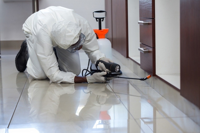 Practical Pest Control Tips for Stouffville Homeowners