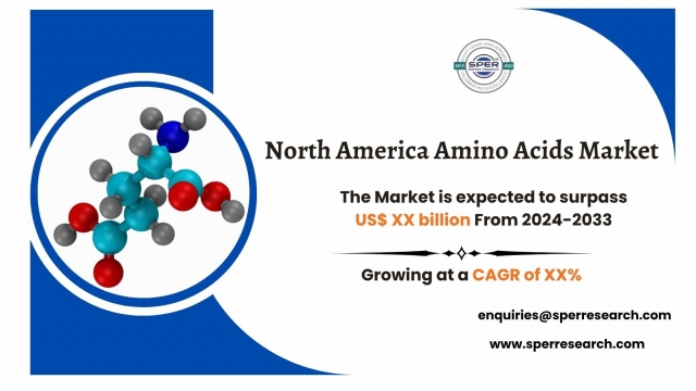 In-depth Analysis of the North America Amino Acids Market 2024-2033