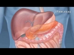 Choosing the Right Clinic for Pancreatic Surgery Singapore – ALPS Clinic Guide
